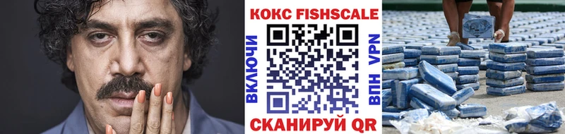 OMG онион  Алексеевка  COCAIN FishScale 