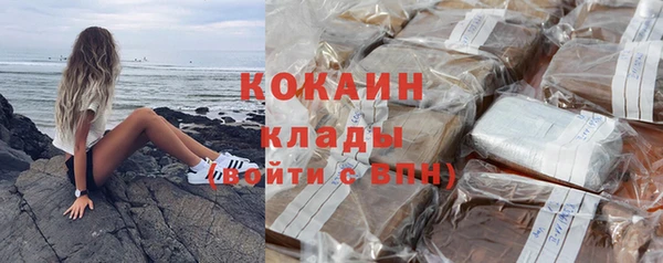 шишки Алексин