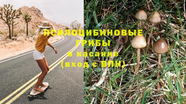 шишки Алексин