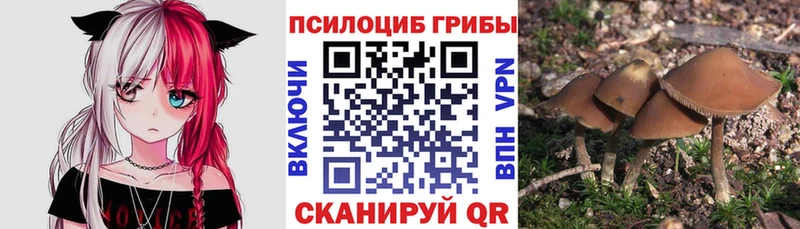 Псилоцибиновые грибы Psilocybine cubensis  что такое   Алексеевка 